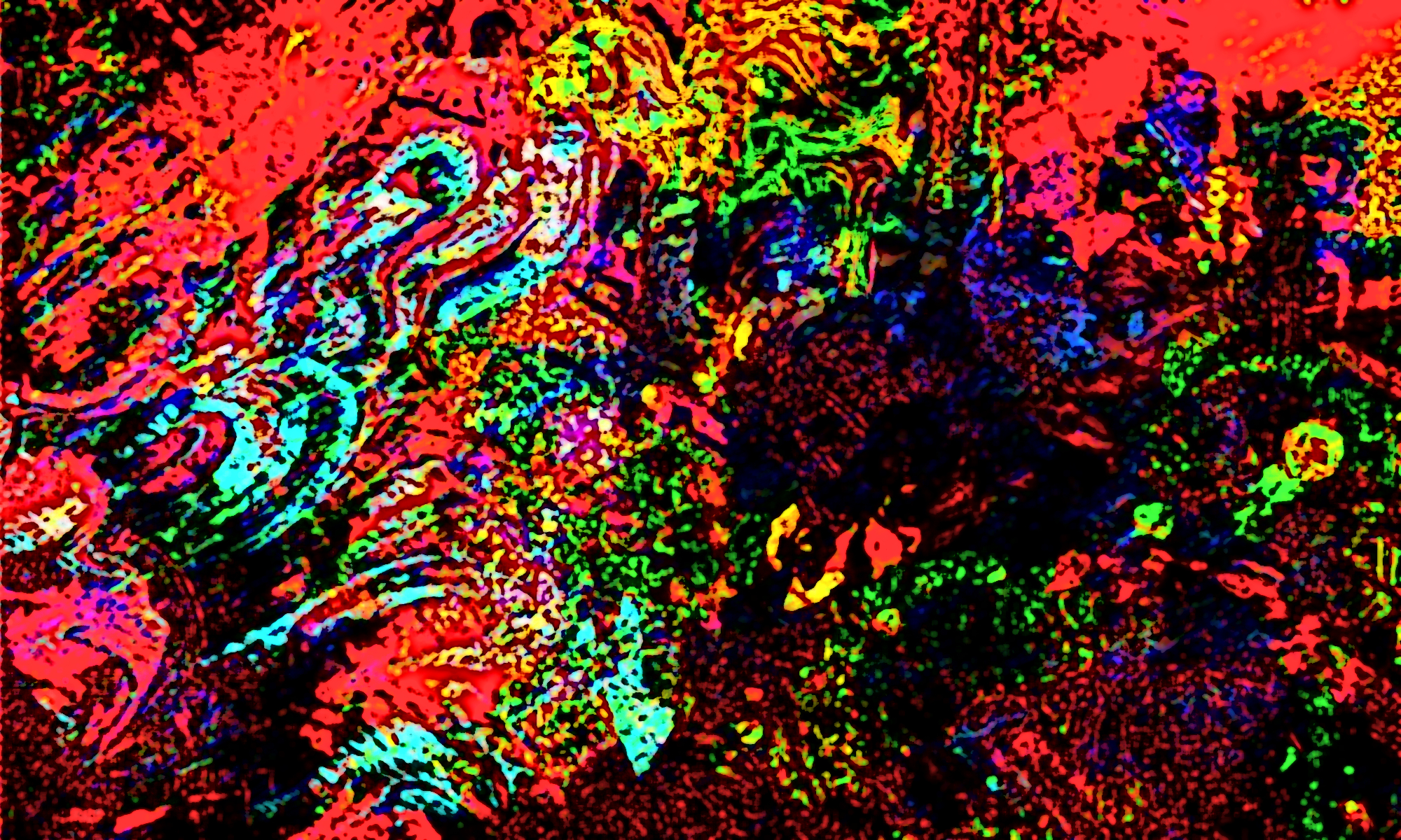 Bruce Bates Abstract Art banner